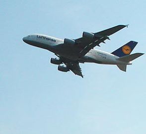 Spedition: Luftransporte